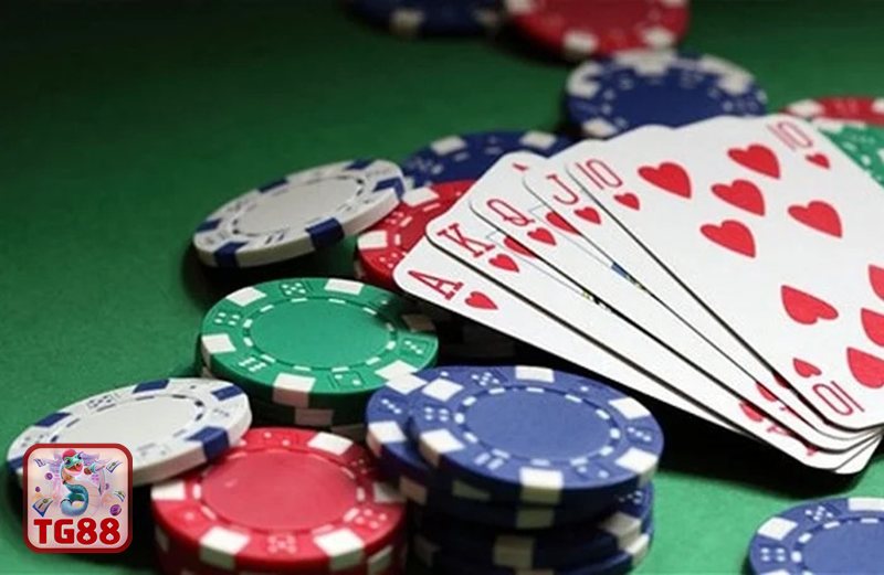 Giới Thiệu TG88 - Định hướng phát triển bền vững Giới Thiệu TG88 - Định hướng phát triển bền vững