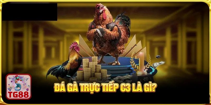 Đá gà cựa dao - Đặt ranh giới với nội dung kích thích Đá gà cựa dao - Đặt ranh giới với nội dung kích thích