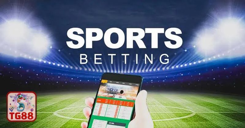 Thể thao TG88 - Xem trực tiếp ngay trong nền tảng, hạn chế mở nhiều tab